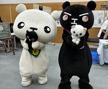 ていたんとブラックていたんの写真