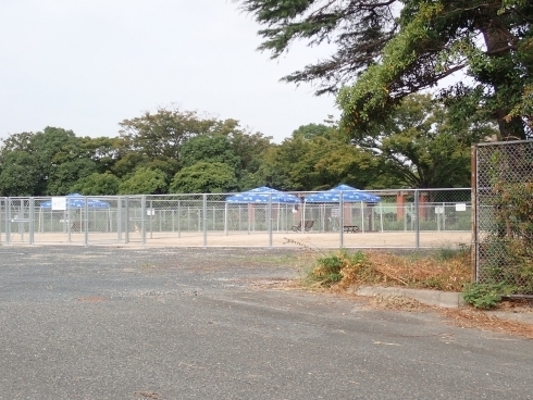 日明臨海公園ドッグランの写真