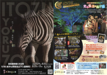 夜の動物園チラシ