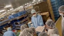 見学中の工場内の様子