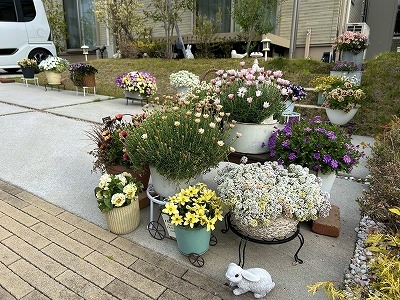 久保田　朋子さんの花と緑づくりの写真