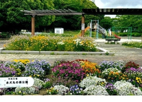 永犬丸の森公園愛護会の写真