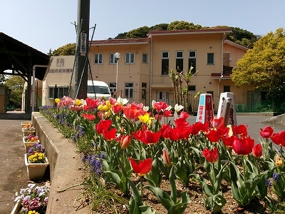 認定こども園 高見の森保育園さんの花と緑づくりの写真