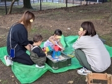 活動写真(1)