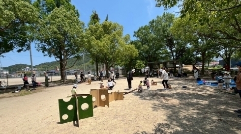 全体の様子