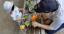 活動写真(1)