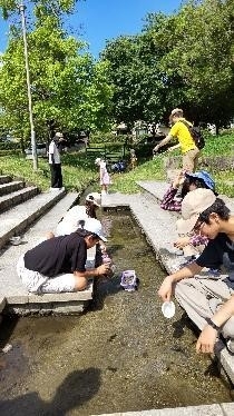 活動写真(3)