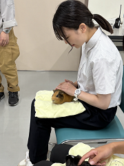 ふれあい体験の様子