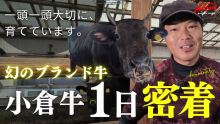プレゼントキャンペーン開催中！幻のブランド牛、生産農家に1日密着！（外部リンク）