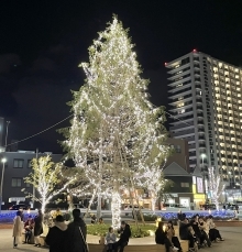 折尾イルミネーション画像(参考)