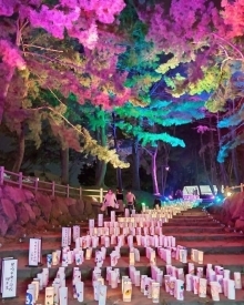 黒崎宿場夜市画像(参考)