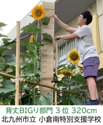 【ひまわりの写真】北九州市立　小倉南支援学校