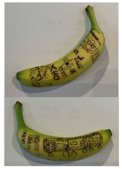 最優秀賞「大好きなJR九州」しんちゃんの写真