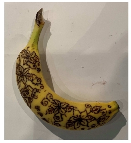 最優秀賞「Love in the orchid garden」るうなの写真