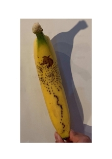 じーも賞「もじこう花火」ちっちの写真