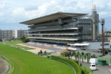 【特別な場所へ！”海と陸の探検コース”】イメージ画像