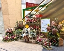 昨年の様子(フォトスポットの写真)