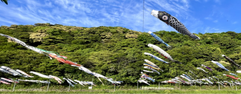 おさゆきこいのぼりまつりの様子