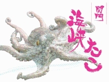関門海峡たこ