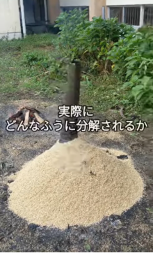 どんなふうに分解されるか