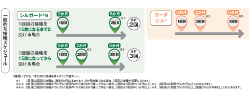 （HPV)男性向け接種スケジュール
