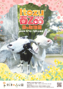 夜の動物園チラシ