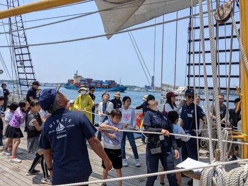 体験航海時のセイルドリル（帆の展開）の様子