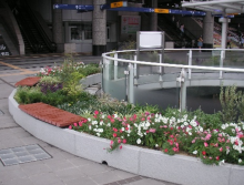 小倉駅スポンサー花壇の写真