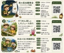 チラシ裏面
