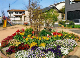十字ヶ丘1号公園愛護会さんの花と緑づくりの写真