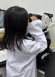 微生物観察の様子