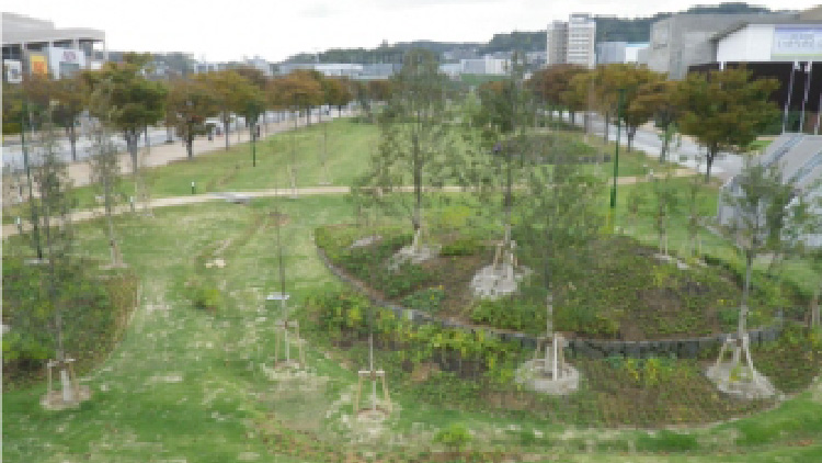 Higashida Oodoori Park