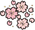 サクライラスト