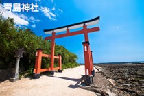 青島神社写真