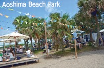Aoshima Beach Park写真