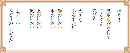 けやき

天をゆびさして
ぐんぐん
のびた

大きな
ふんすいだ

陽のにおい
水のにおい

土のにおい
風のにおい

まぶしい
みどりのしぶきだ