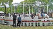 子どもまつり写真