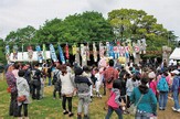 こいのぼり写真