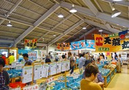 汐入の里写真