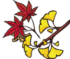 紅葉と黄葉イラスト