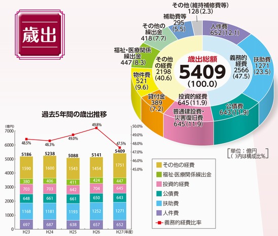 歳出　[円グラフ]