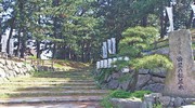 曲里の松並木