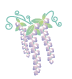 かざりイラスト