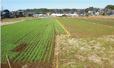 熊本現況写真