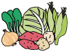 地元野菜イラスト