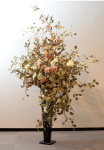 染色 布の花展写真