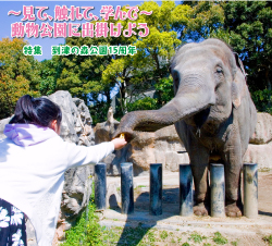 到津の森公園写真