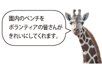 アミメキリン写真