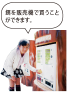 サバンナをイメージしたエリアのキリンとシマウマ写真