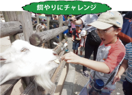 林間学園写真